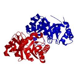 Image of CATH 3rlv