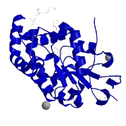 Image of CATH 3rnl
