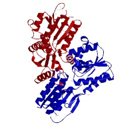 Image of CATH 3rot