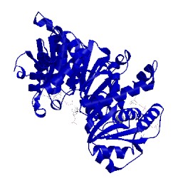 Image of CATH 3ru2