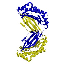 Image of CATH 3rwh