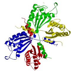 Image of CATH 3s03