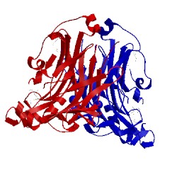 Image of CATH 3s30