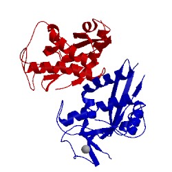 Image of CATH 3s6v