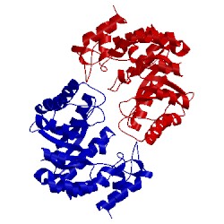 Image of CATH 3s8h