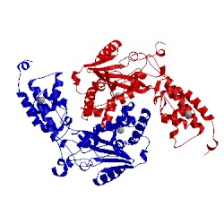 Image of CATH 3sag