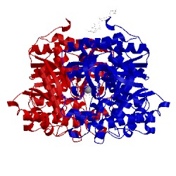 Image of CATH 3scw