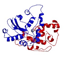 Image of CATH 3sdp