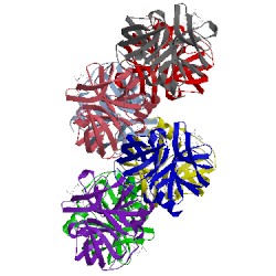 Image of CATH 3sjo