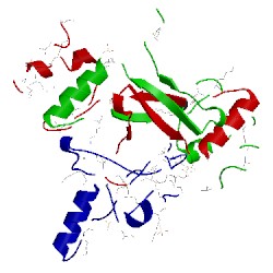 Image of CATH 3soo