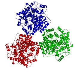 Image of CATH 3sqc