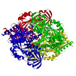 Image of CATH 3srd