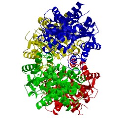 Image of CATH 3ss4