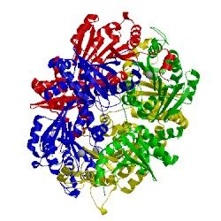 Image of CATH 3ssm