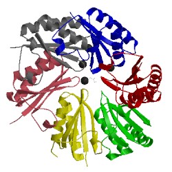 Image of CATH 3ssq