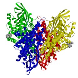 Image of CATH 3swo