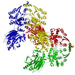 Image of CATH 3syt