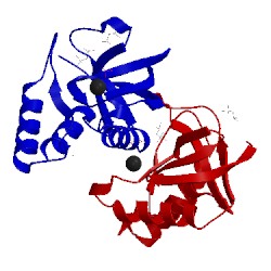 Image of CATH 3t13