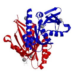 Image of CATH 3t1o