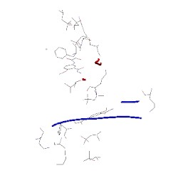 Image of CATH 3t4g