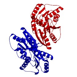 Image of CATH 3tb6