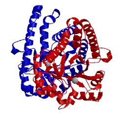 Image of CATH 3tc3