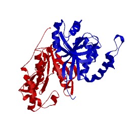 Image of CATH 3tcv