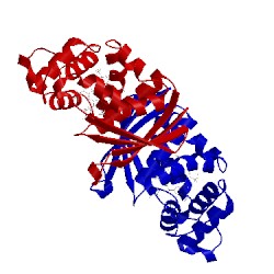 Image of CATH 3tfd