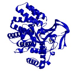Image of CATH 3tg5