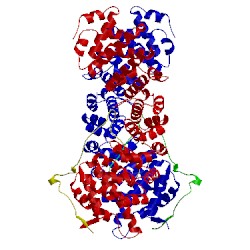 Image of CATH 3tj3