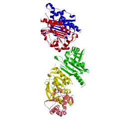 Image of CATH 3tjj