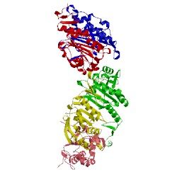 Image of CATH 3tjk