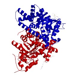 Image of CATH 3tkf