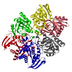 Image of CATH 3tl6