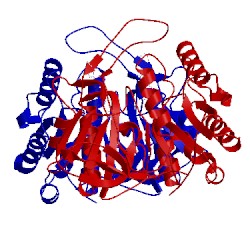 Image of CATH 3tle