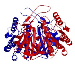 Image of CATH 3tlg