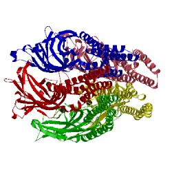 Image of CATH 3tls