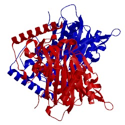 Image of CATH 3tm1