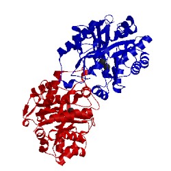 Image of CATH 3tn3