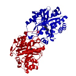 Image of CATH 3tn4