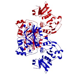 Image of CATH 3tp9