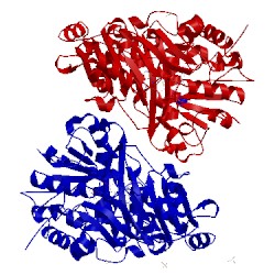 Image of CATH 3tsj