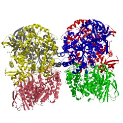 Image of CATH 3tts