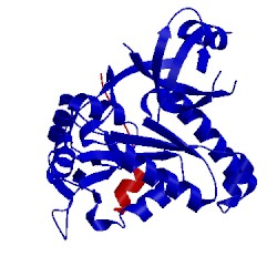 Image of CATH 3tvt