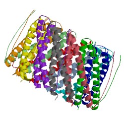 Image of CATH 3txq