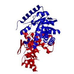 Image of CATH 3tzn