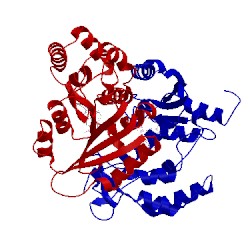 Image of CATH 3u4h