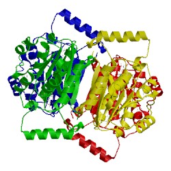 Image of CATH 3uce