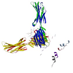 Image of CATH 3uez