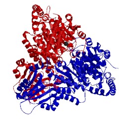 Image of CATH 3uk1